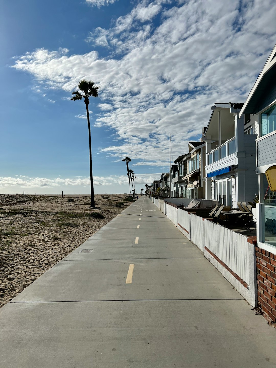 Palm-lined coastal homes and neighborhood streets in Newport Beach, California
